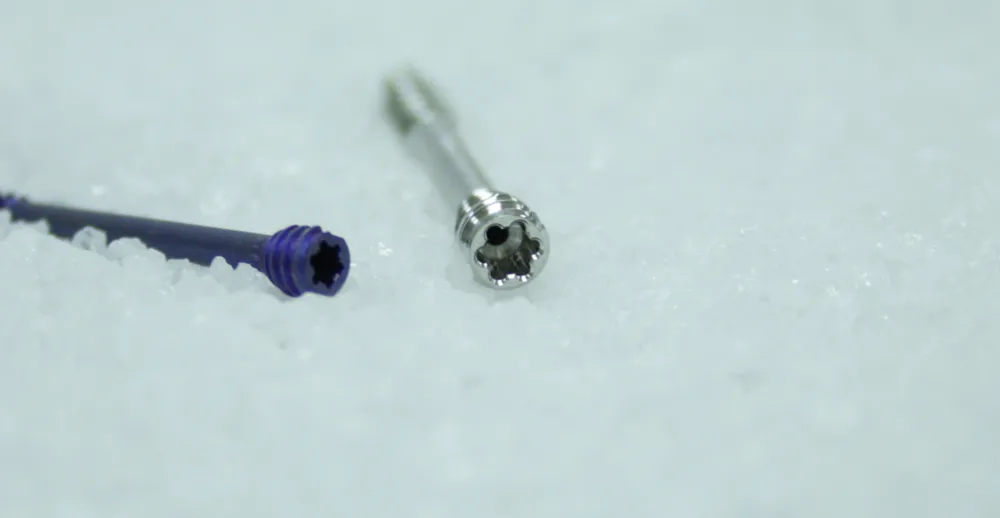 Purple anodized screw and bare titanium screw